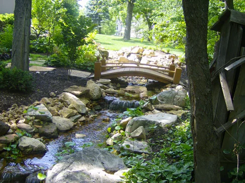 Creek 1120 1.jpg