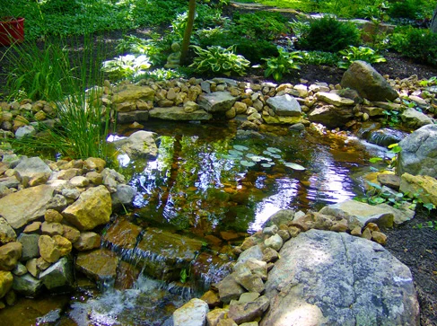 Creek 1120 2.jpg