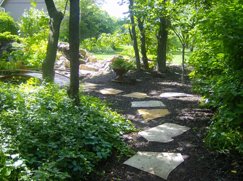 Woods 1120 1.jpg
