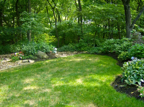 Woods 1120 14.jpg