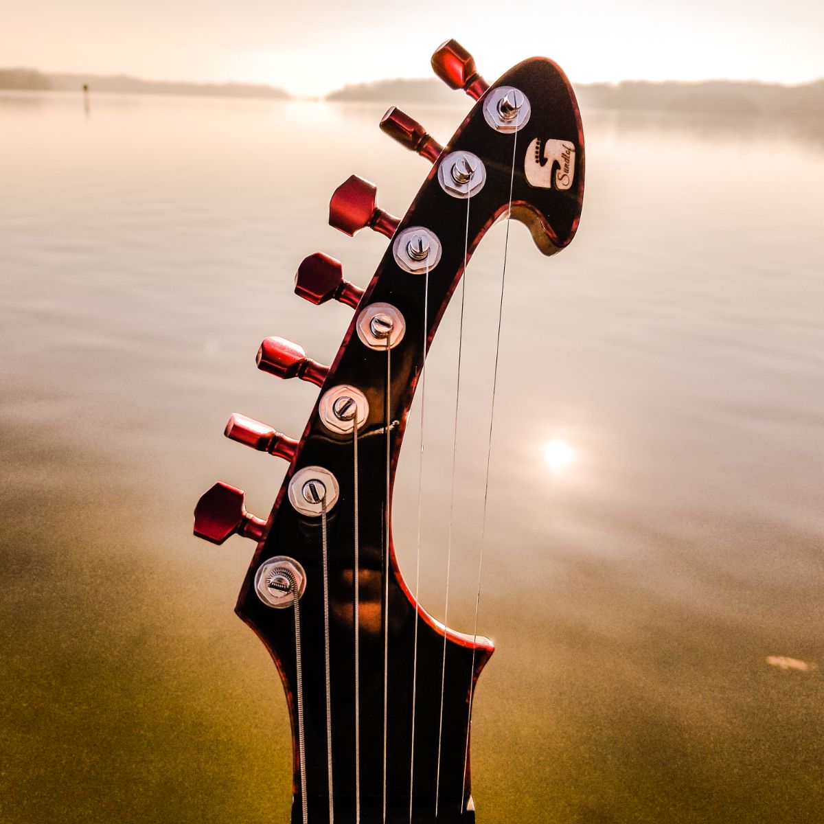 Photo by David Shofer