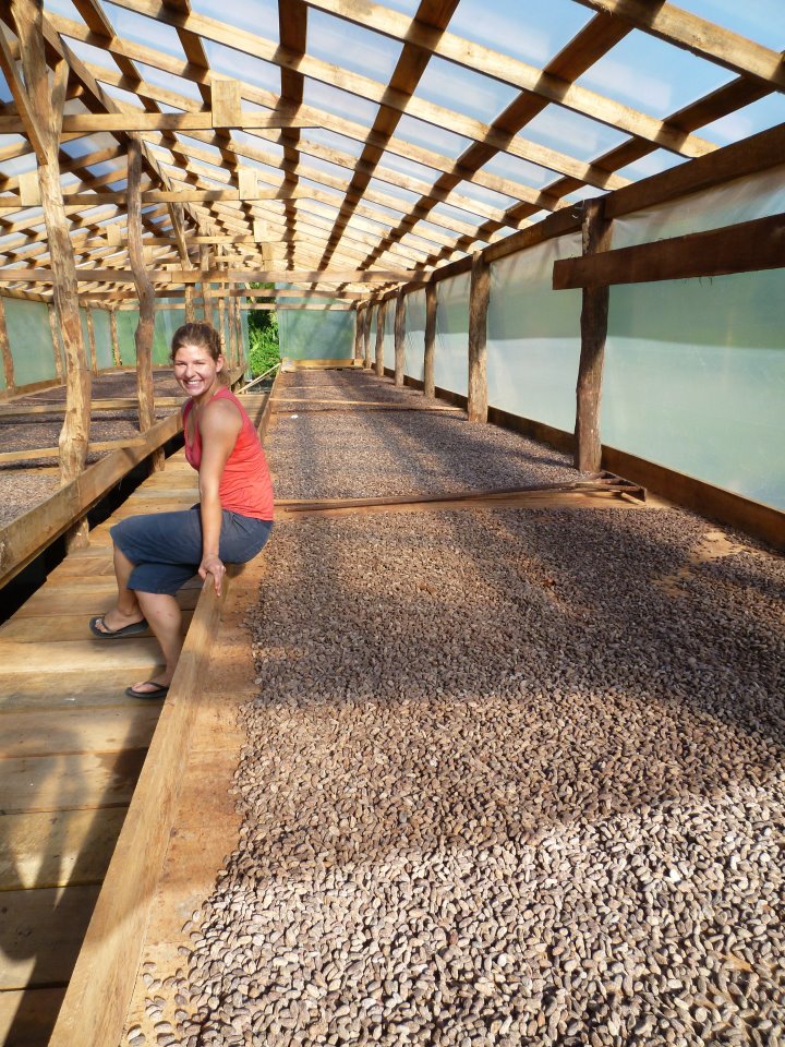 Raw cocoa beans drying in the sun at Maya Mountain Cacao’s production facility in Punta Gorda, Belize (2012)