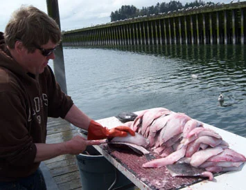Cleanin Bass.jpg