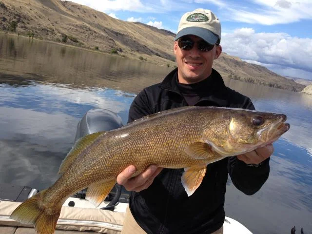 Jim got this 7lb 7oz walleye pulling a huge spinner rig with giant beads.