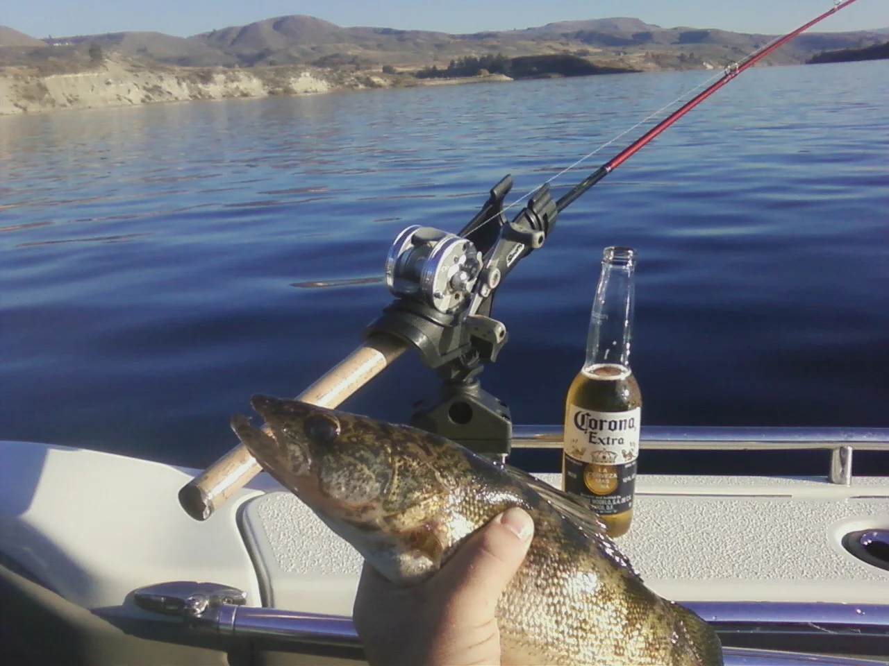 October sunshine on Rufus Woods, a fat walleye, and a cold beer. Life is good!!!