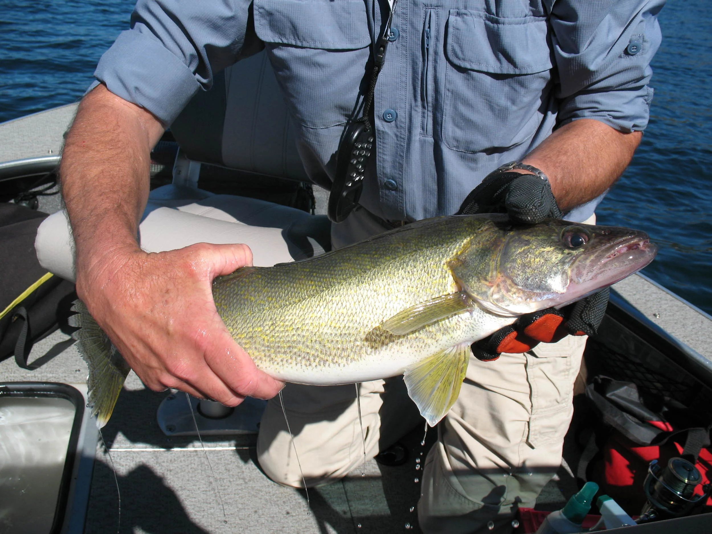  Mark's 6 pounder at Fort Spokane Fall Campout 