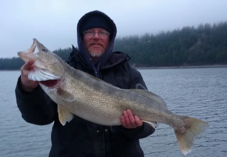 Chad's 15 pound 8 ounce walleye