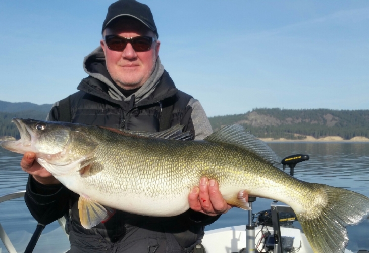 Kirby's 15 pound 12 ounce walleye