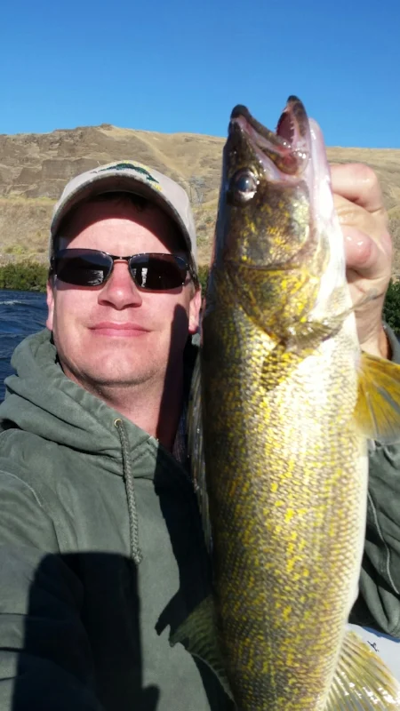 23 inches