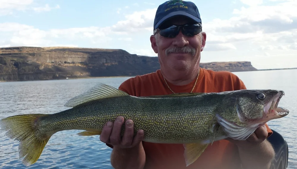 Ken and Sharon V caught and released this 10.5 pound walleye on Banks Lake in September!
