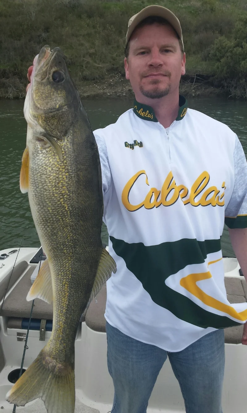 Greg released this 26 inch walleye estimated at 6.5 pounds. Rufus Woods. April 19.