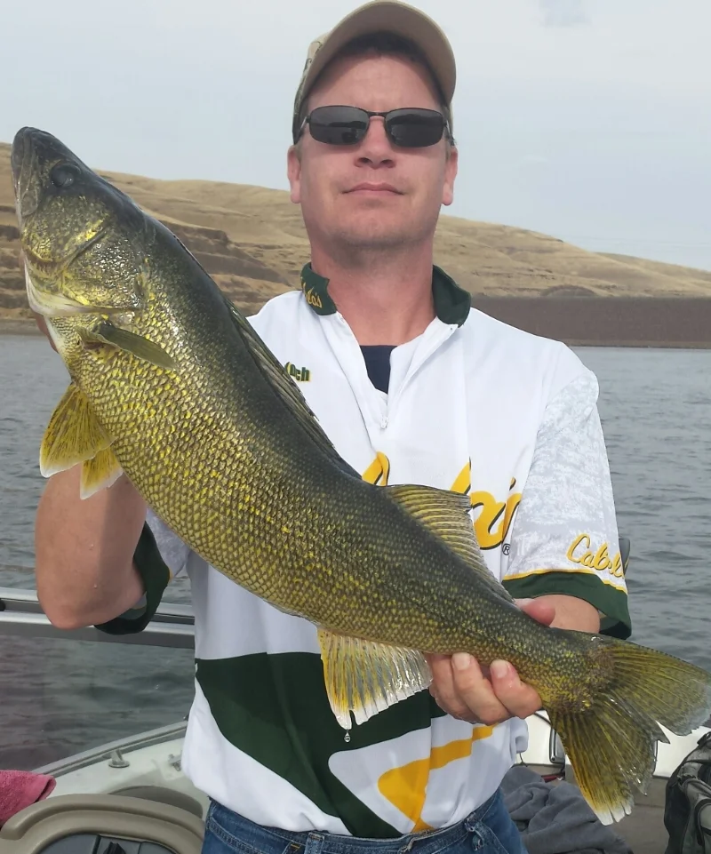 Greg K released this walleye that measured 27 inches and weighed 7 lb 6 oz. Snake River. Oct 2.