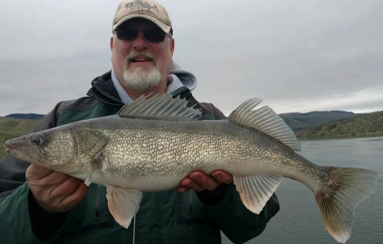 Check out this 6lb 8oz walleye caught and released on April 28th at Rufus Woods.