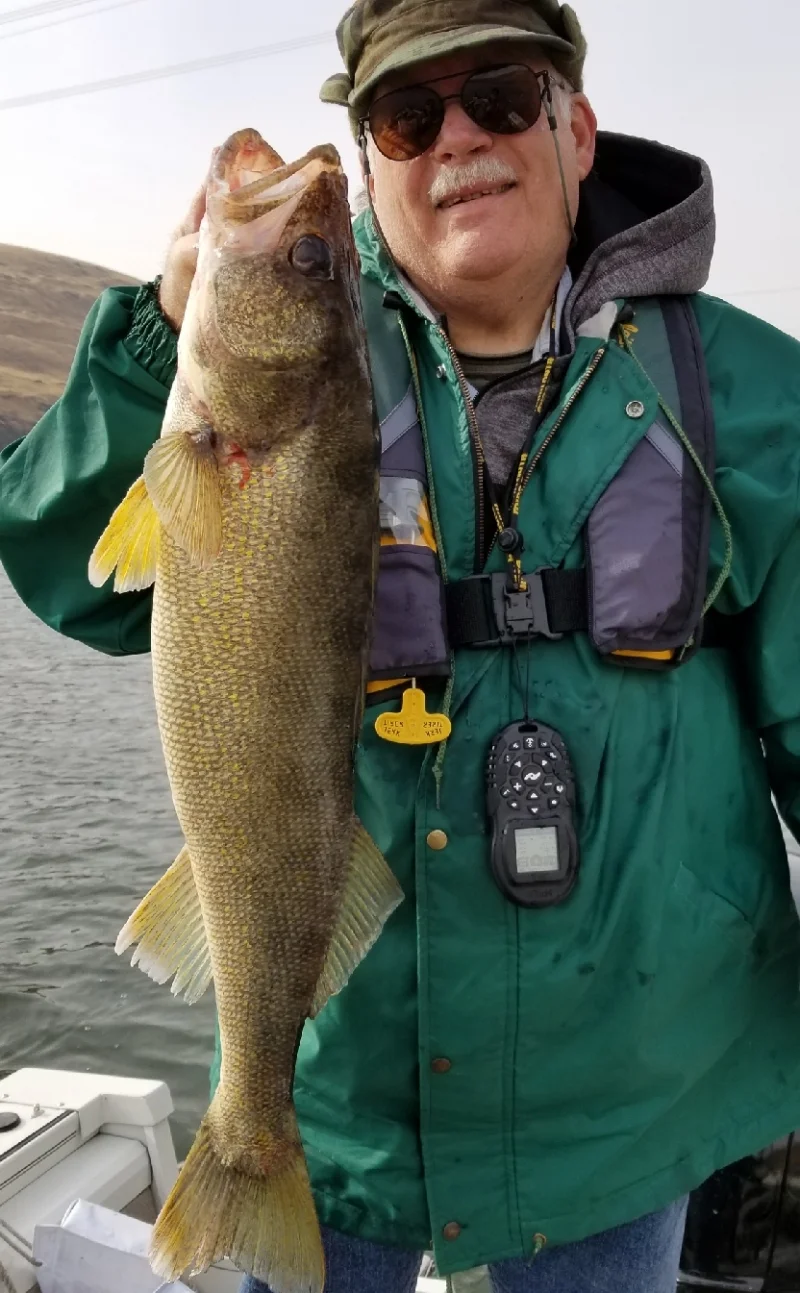 Lyle caught and released this 29 incher on the Snake River on Oct 7th. It weighed 9 pounds. Fish released.