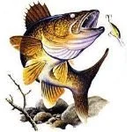 Walleye Seminar/Meeting: Open to Public