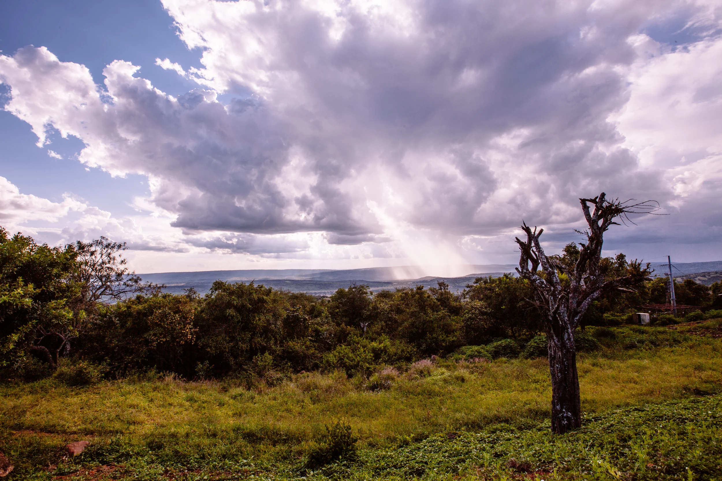 Rwanda-57.JPG