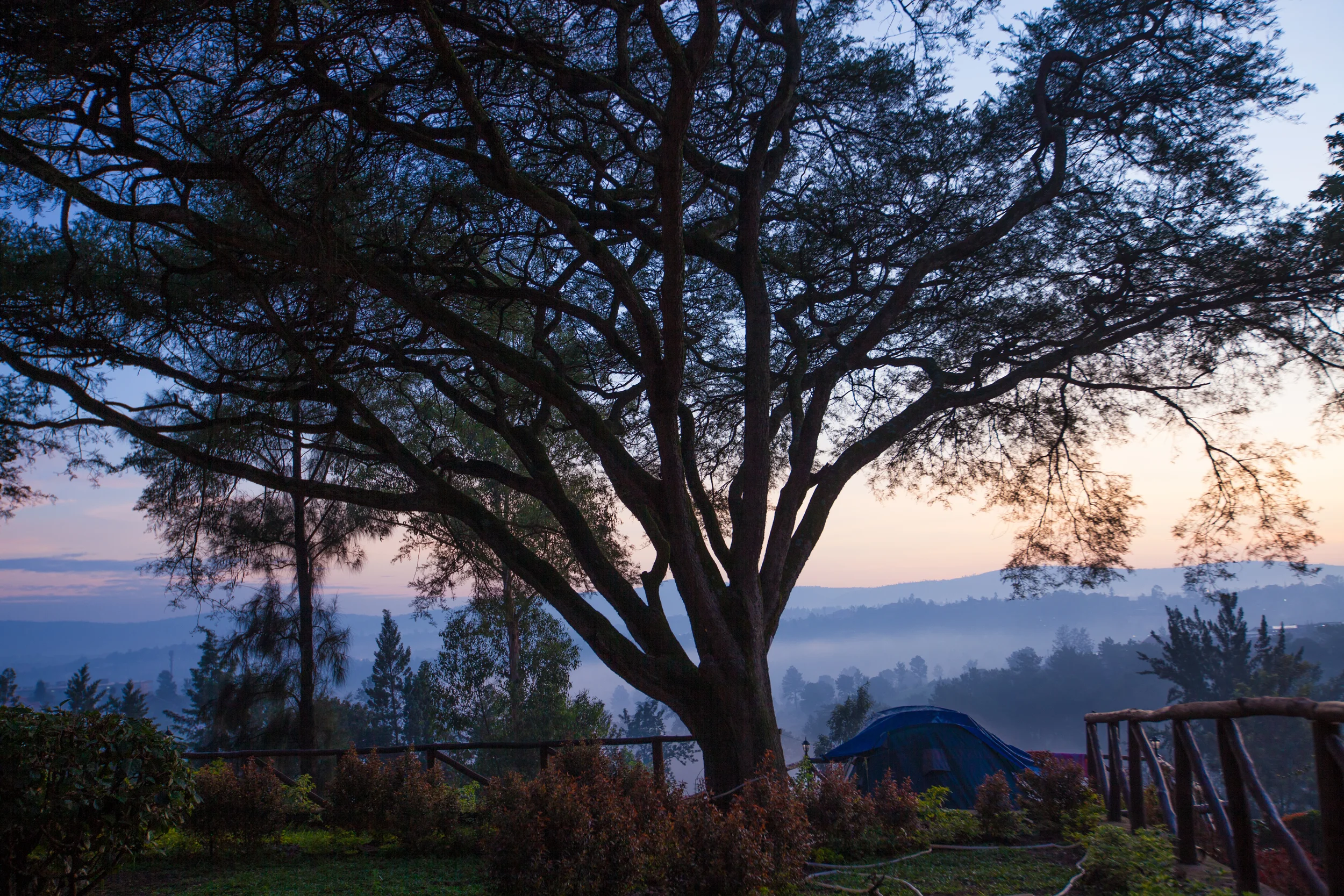 Rwanda-42.JPG