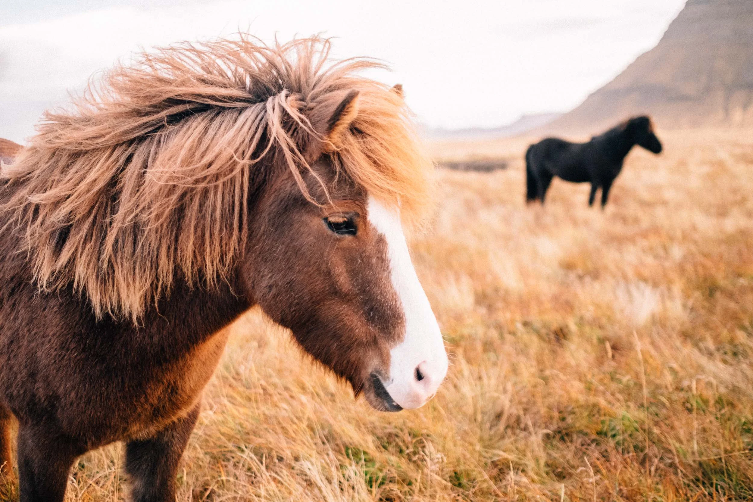 Photograph-Iceland.jpg