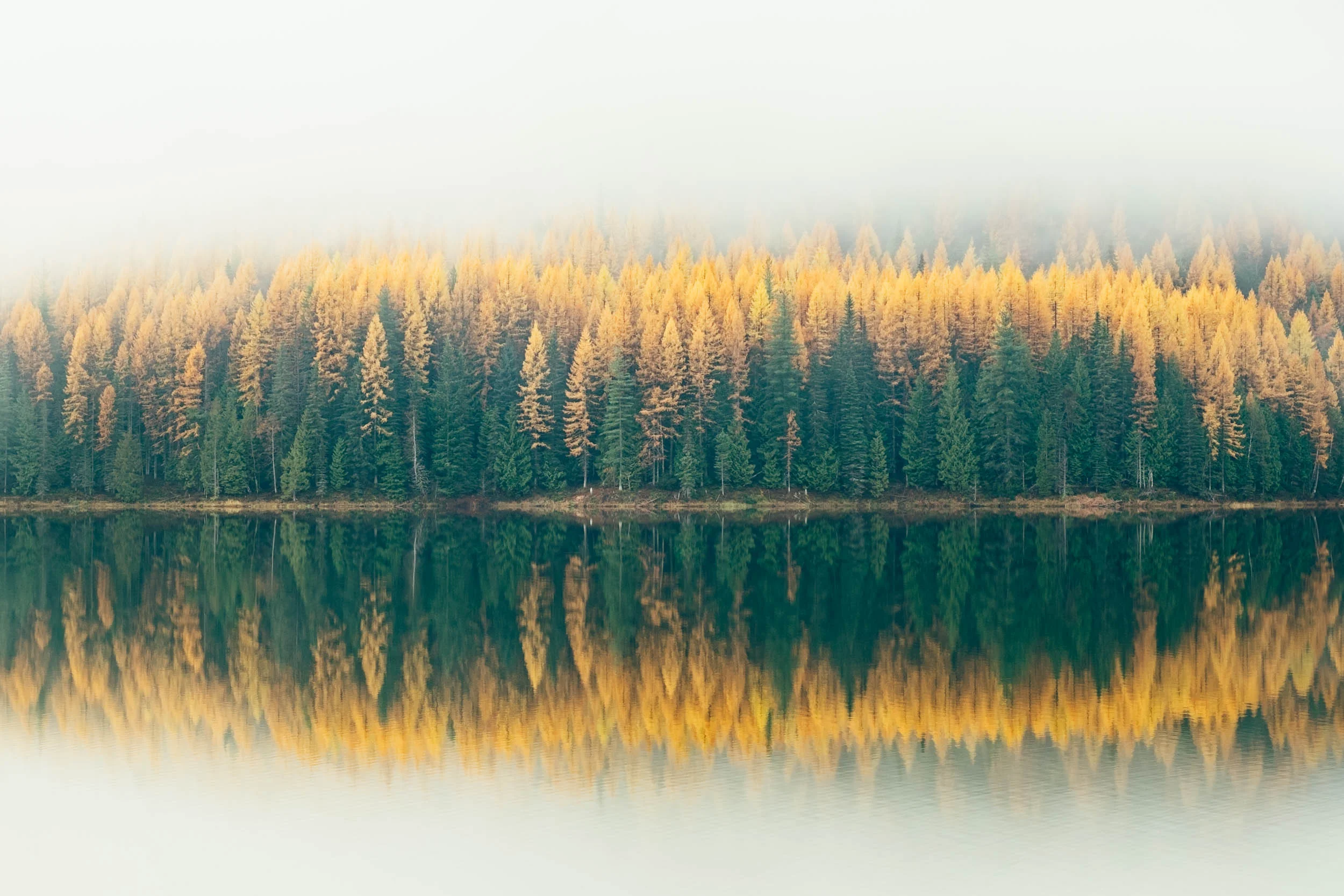 Montana-Landscape-Photography-4.jpg