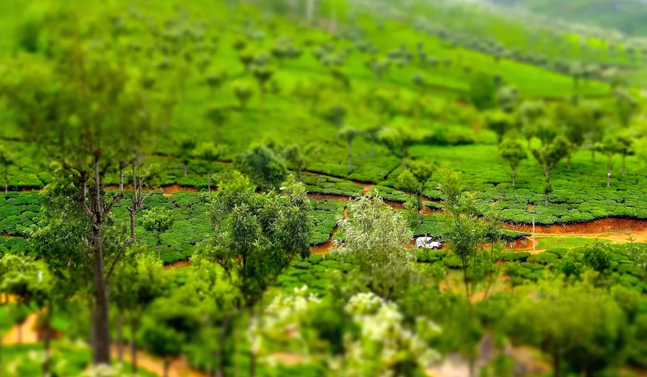 IMG_0818 cropped.JPG