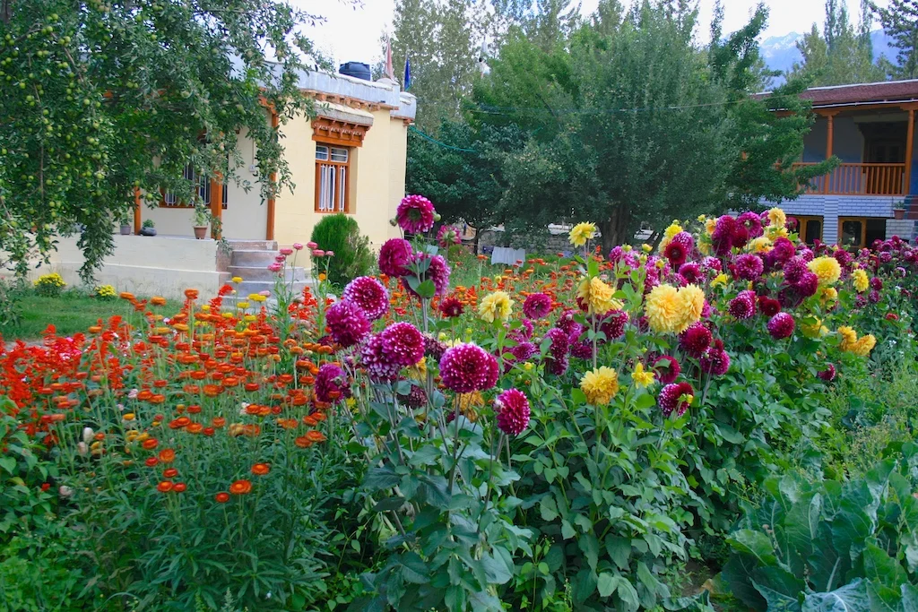 leh, nubr,turtuk with kitu,aug-sept 2012 064.JPG