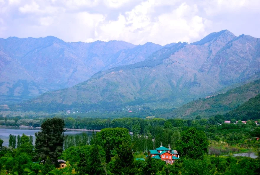 luxury homestay srinagar.jpg