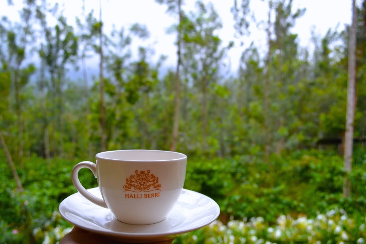 Exploring Chikmagalur II