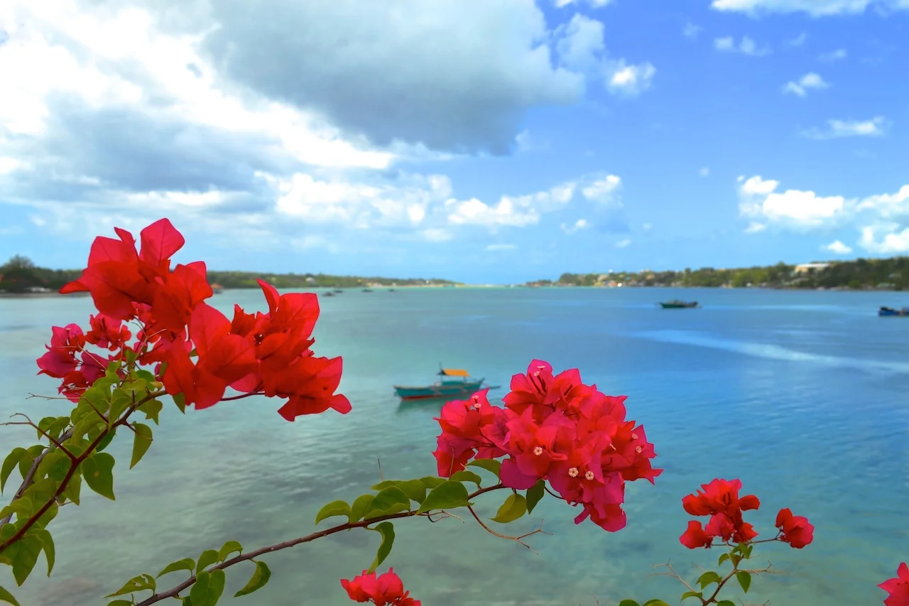 Exploring the Philippines II