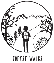 wanderbug india travel service