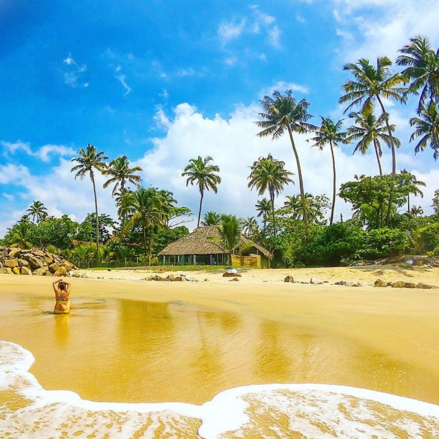 Golden sand, blue skies, a sleepy coastal village and crisp sunshine. The beaches of Kerala are some of the best in India and I feel so blessed to be living in this paradise 🙏
.
.
Get in touch with me to discover your private slice of paradise 🏝 🌊
