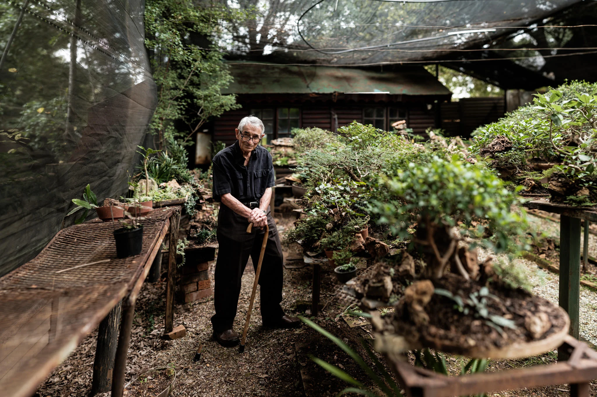Oom Koos in his Bonsai garden