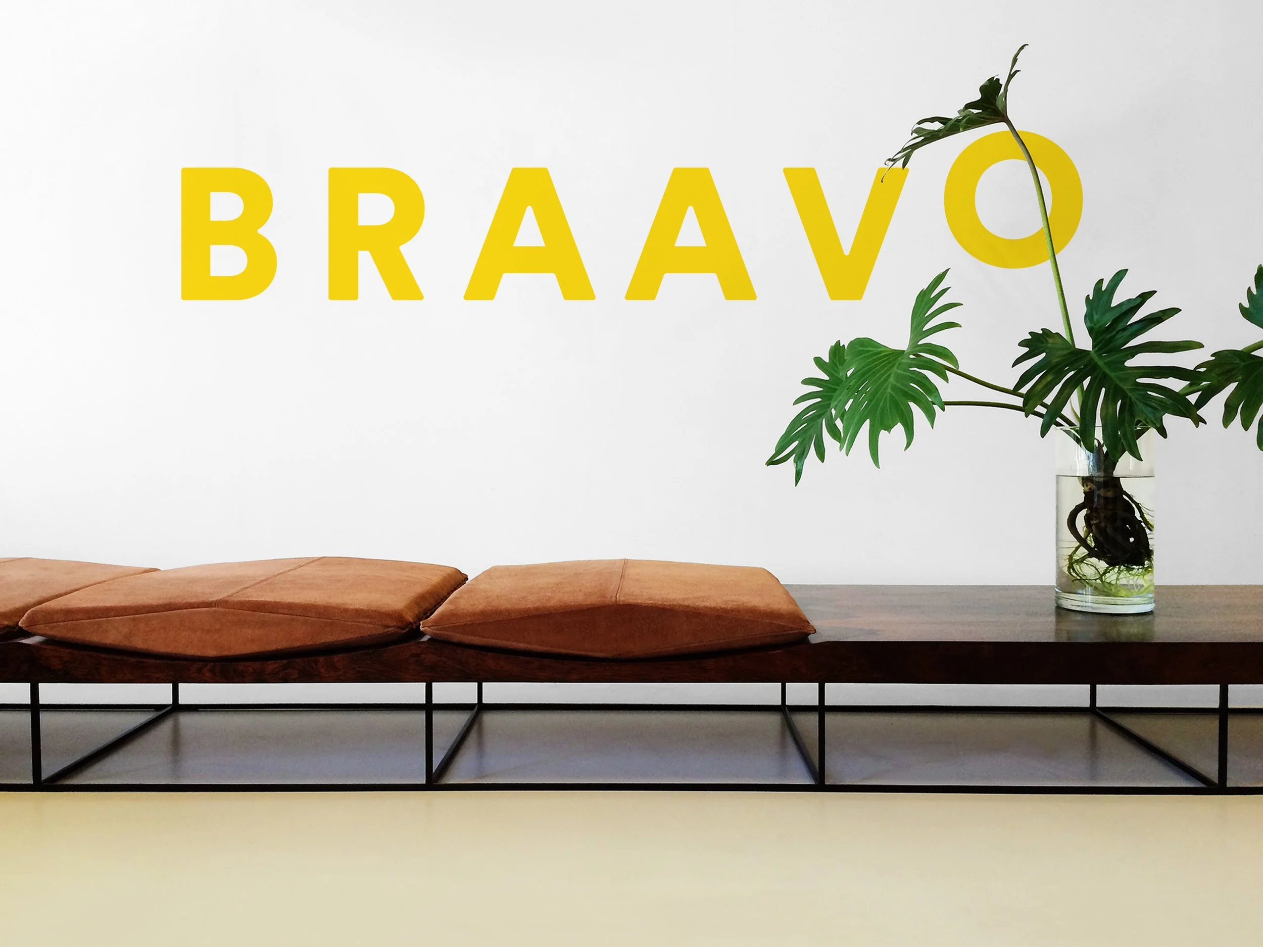 Braavo Branding + Web Design