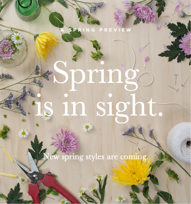 Spring Preview.jpg