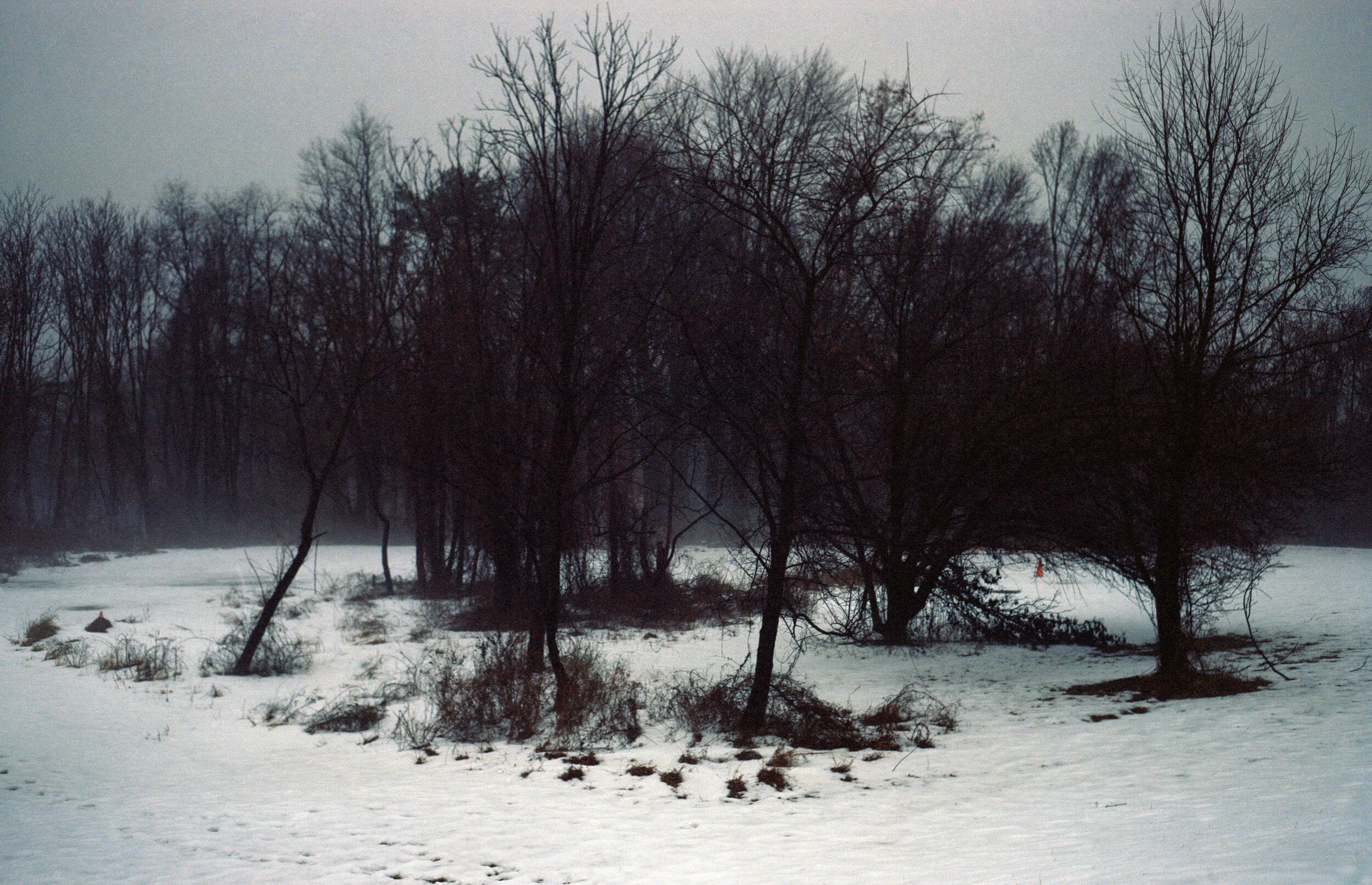 fogsnow-Edit.jpg