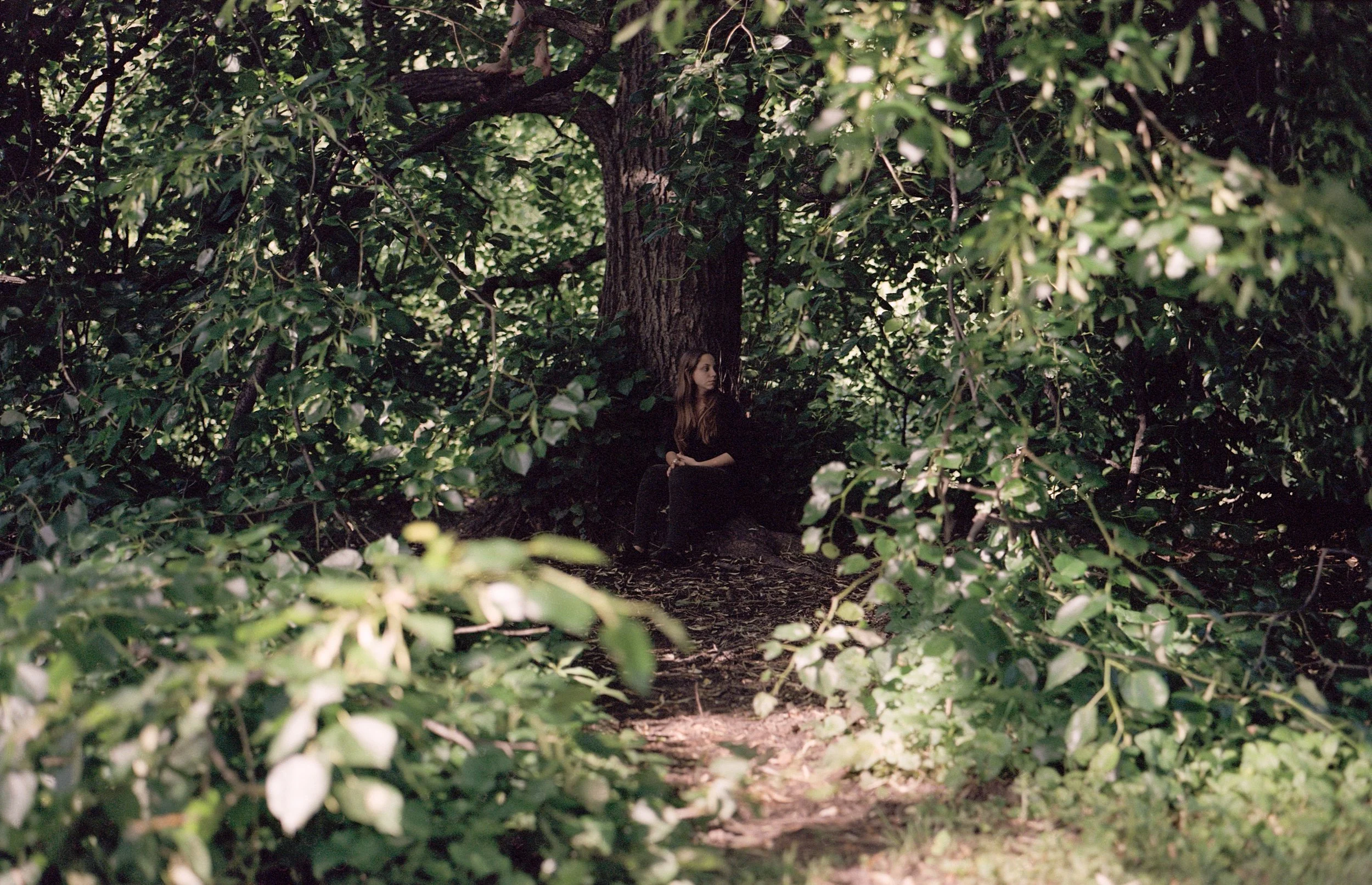 2012hannahintrees-Edit.jpg