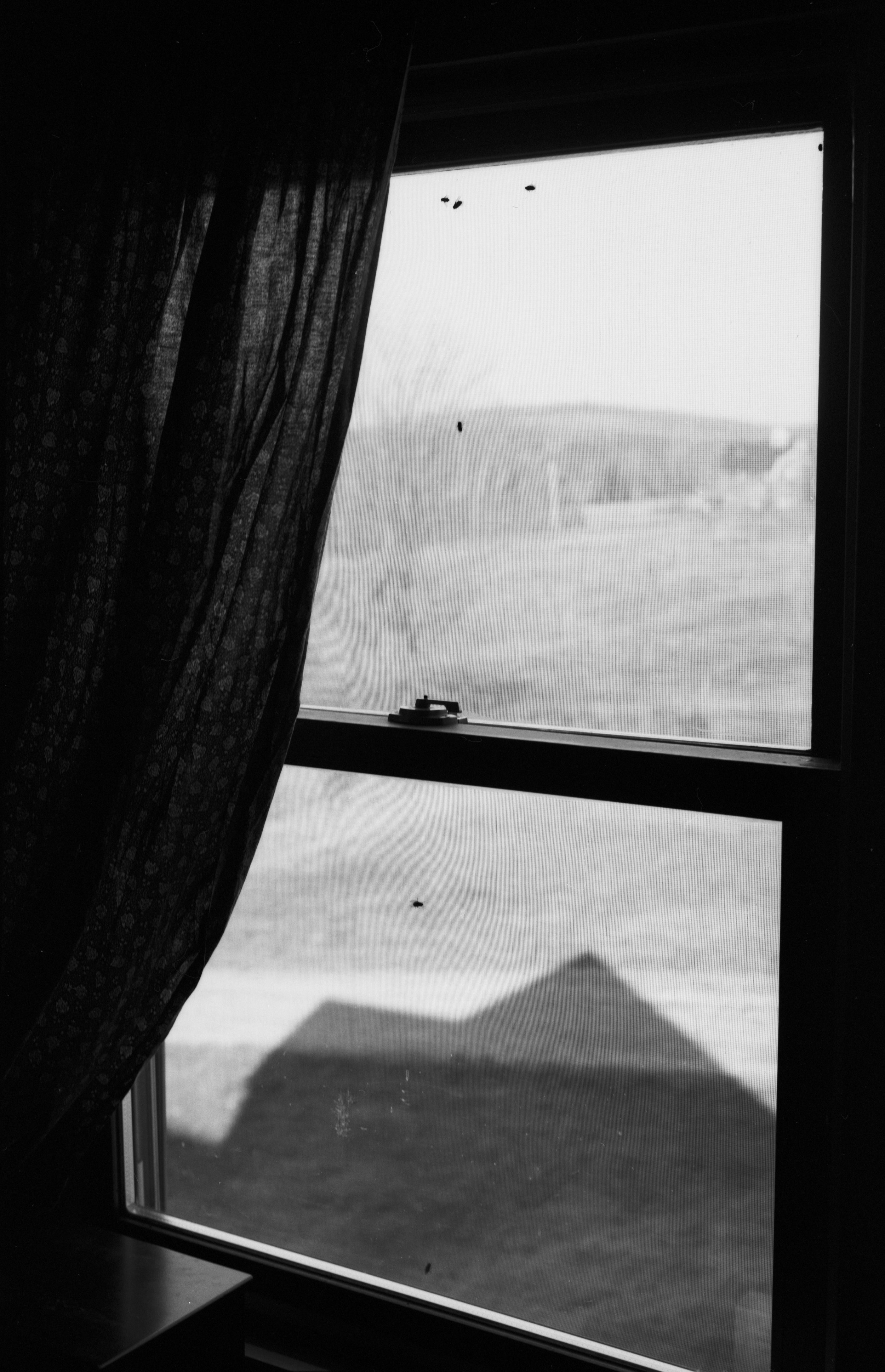 VermontWindowFlat.jpg