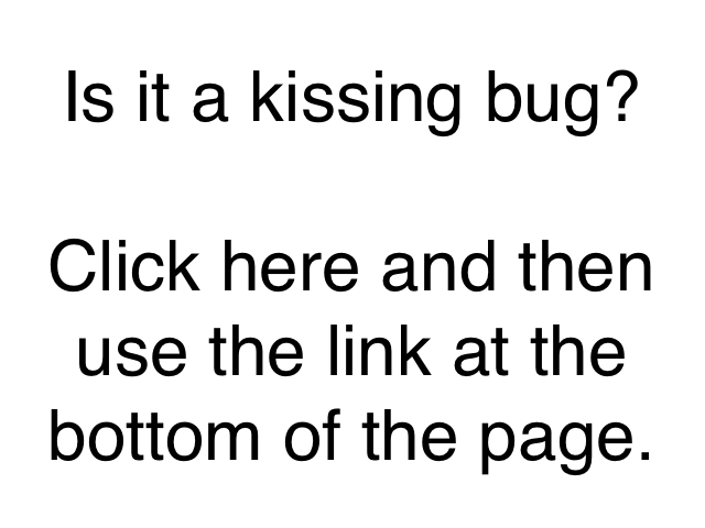 Quick kissing bug identification