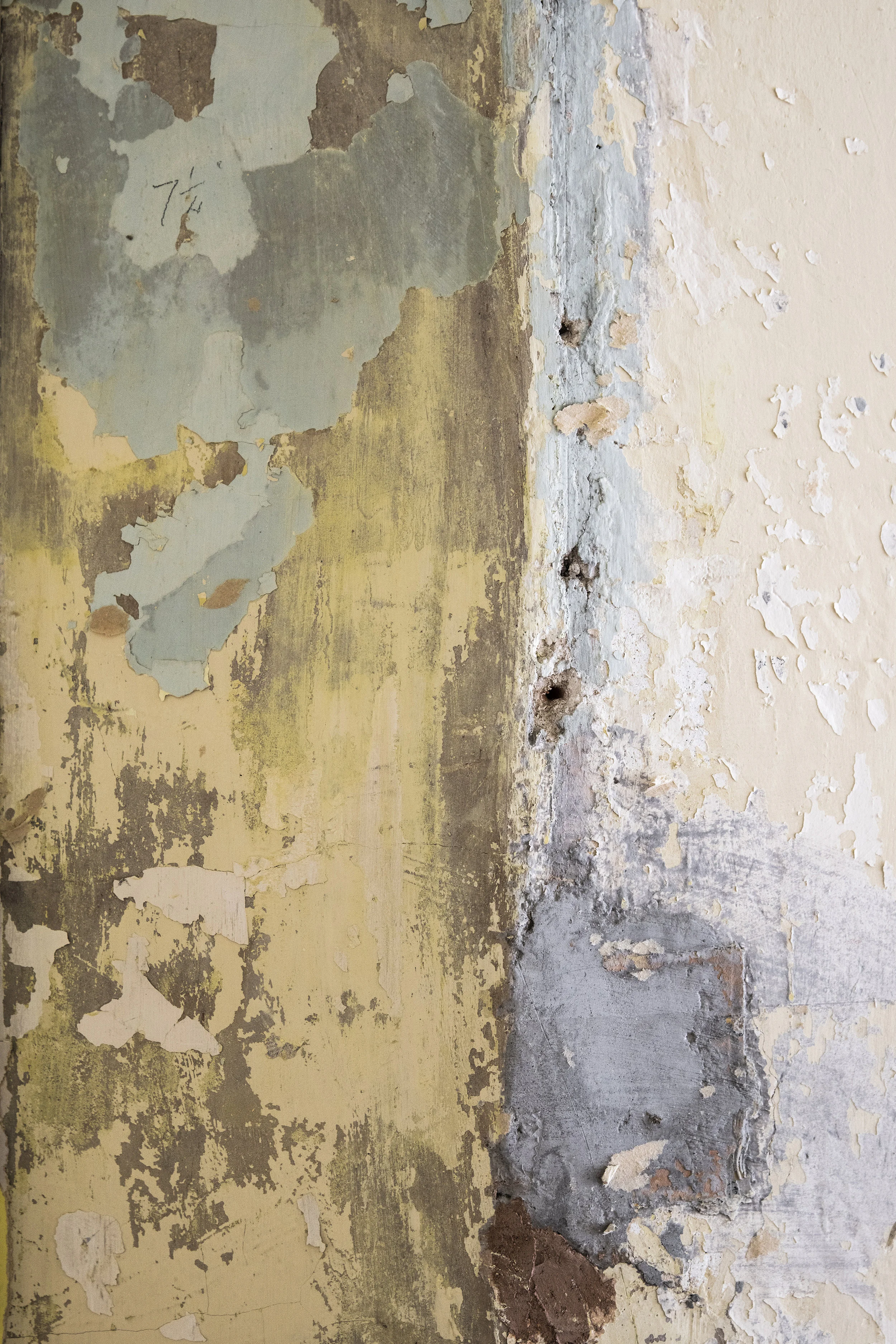 Manor House Textures 4.jpg