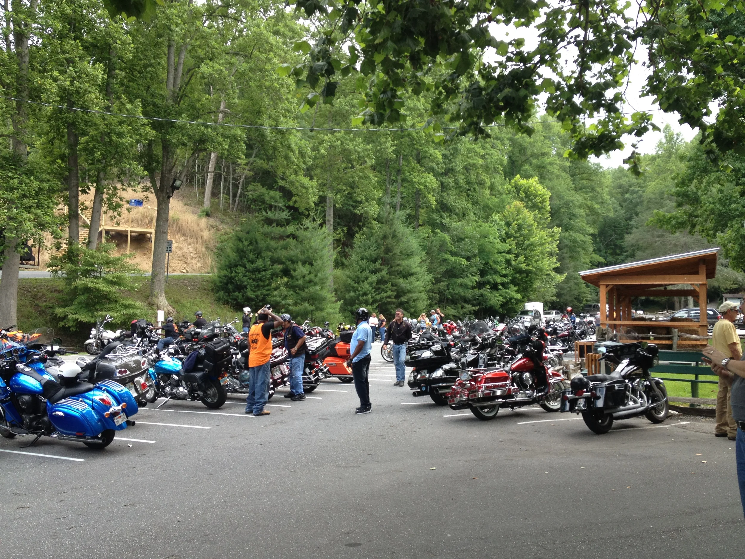 Parking lot variety is the spice of life