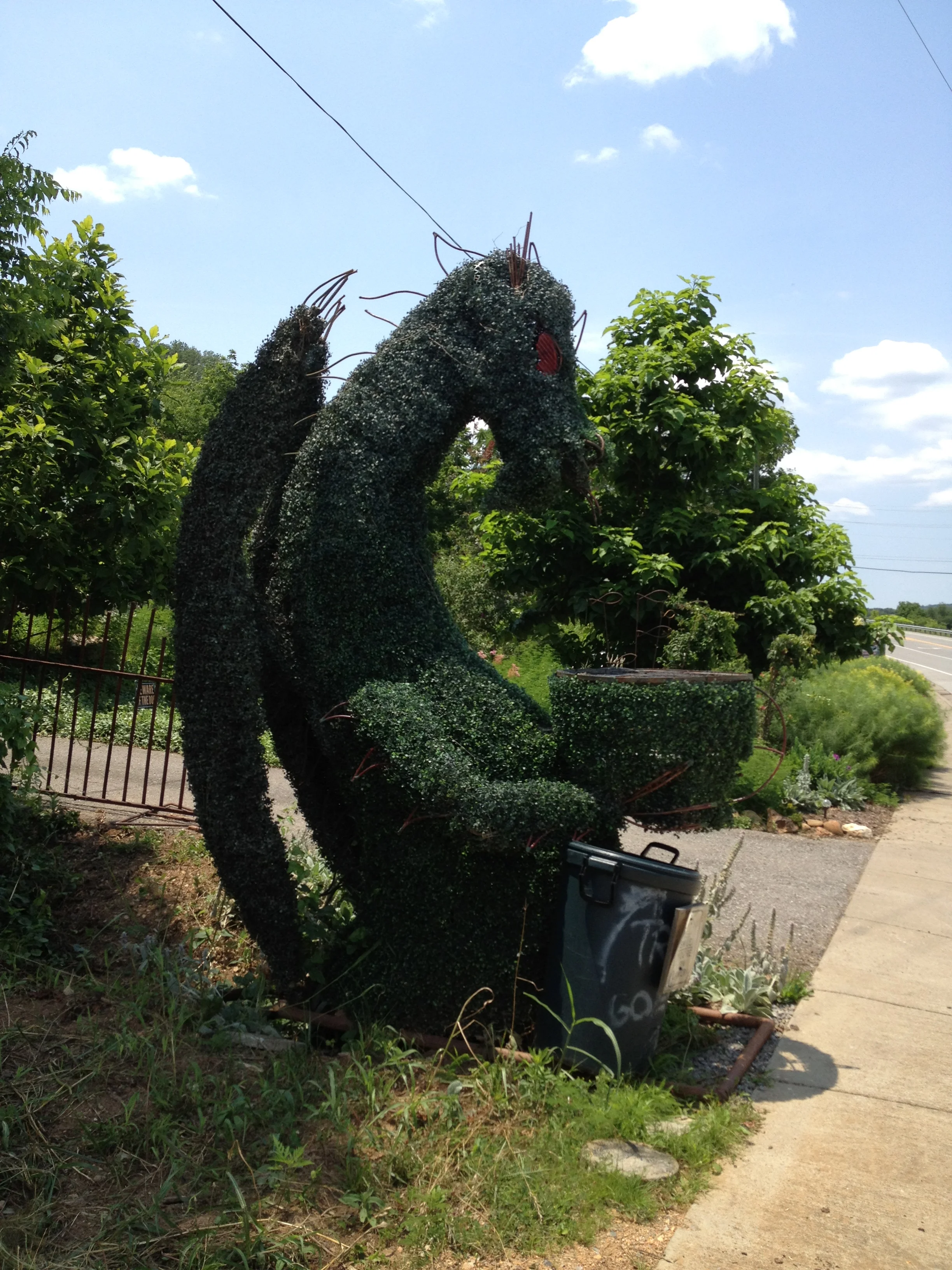 Dragon Bush with a grill