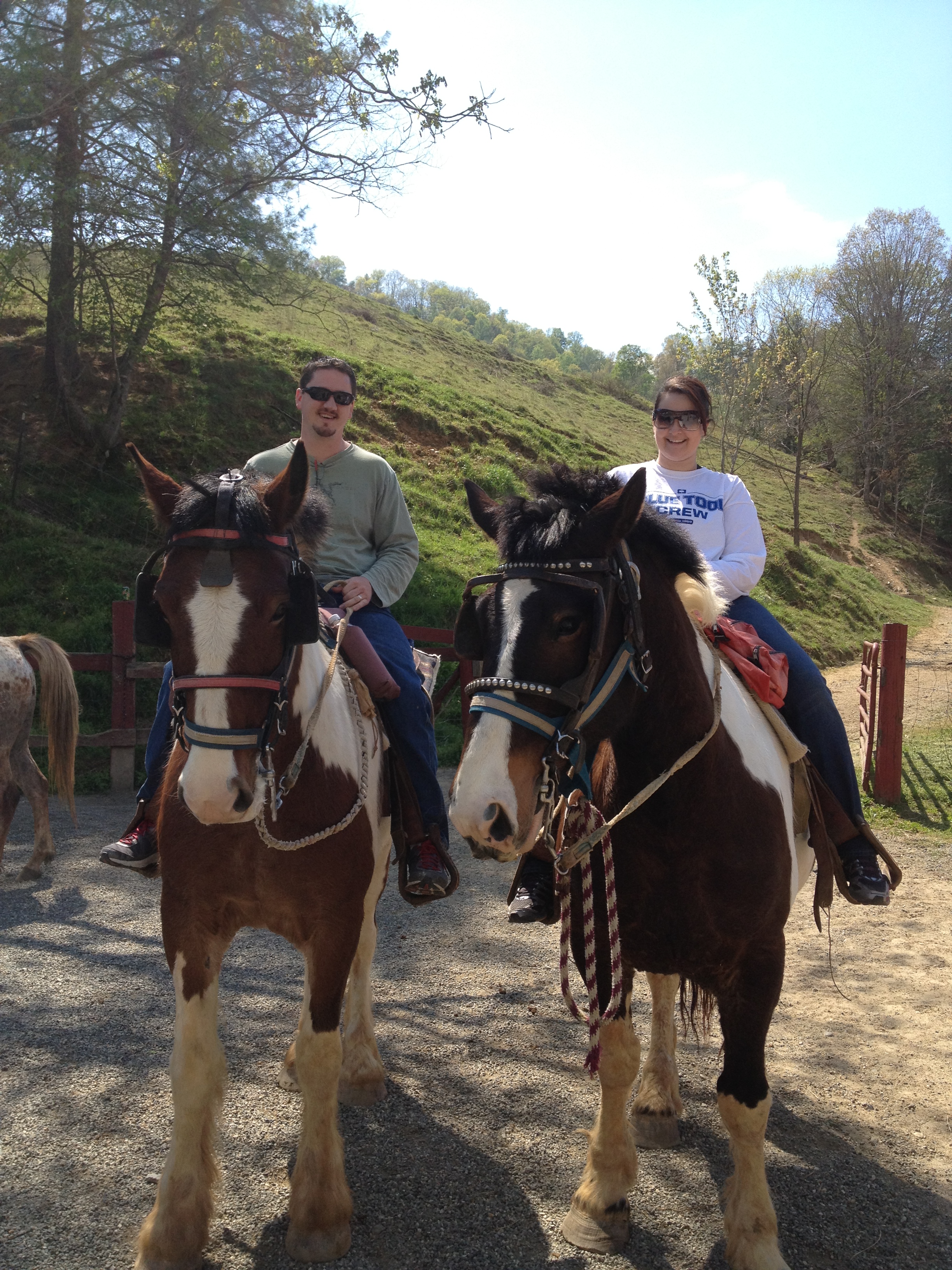 Riding Horses