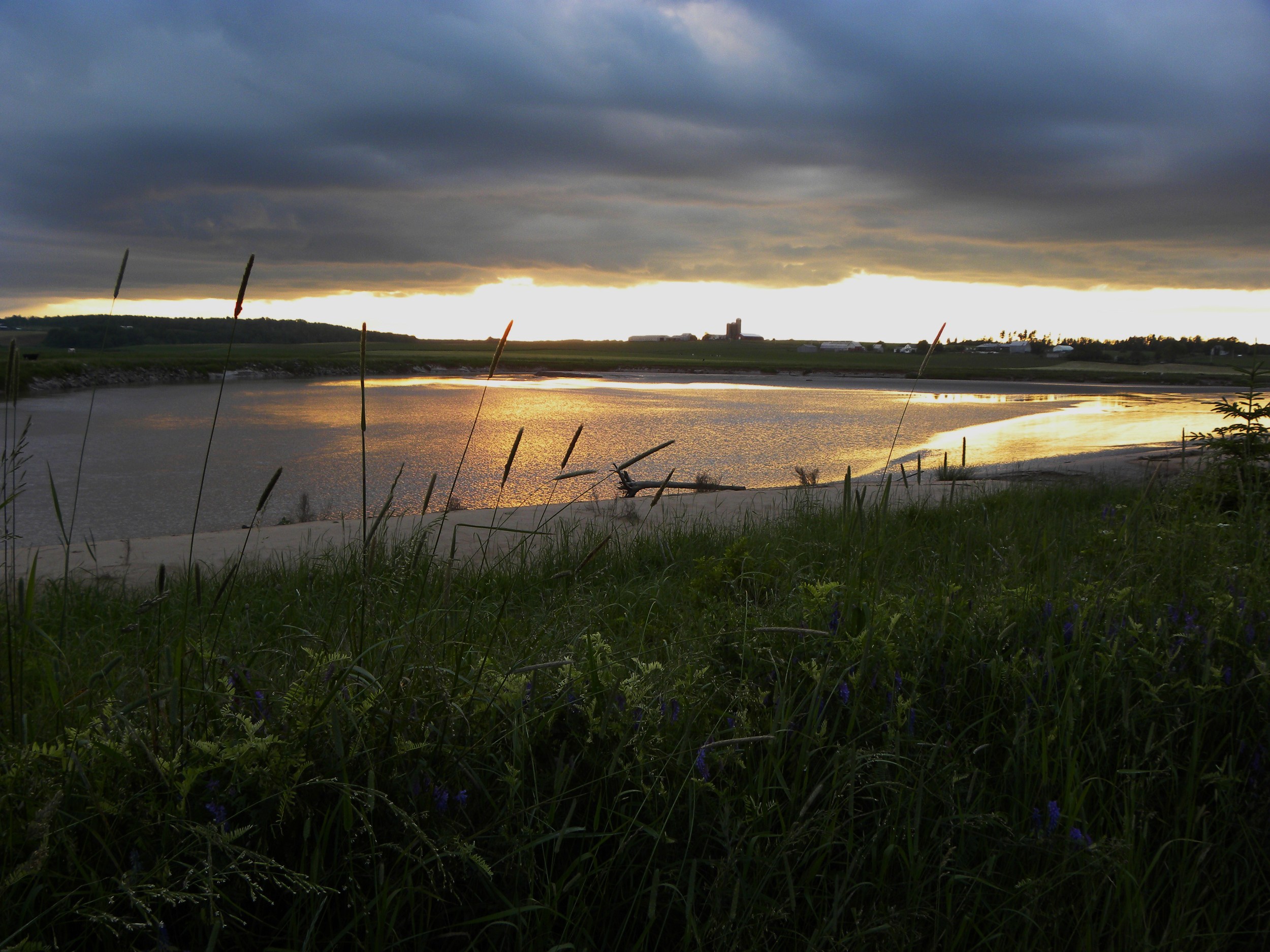 The bank of the Shubenacadie River