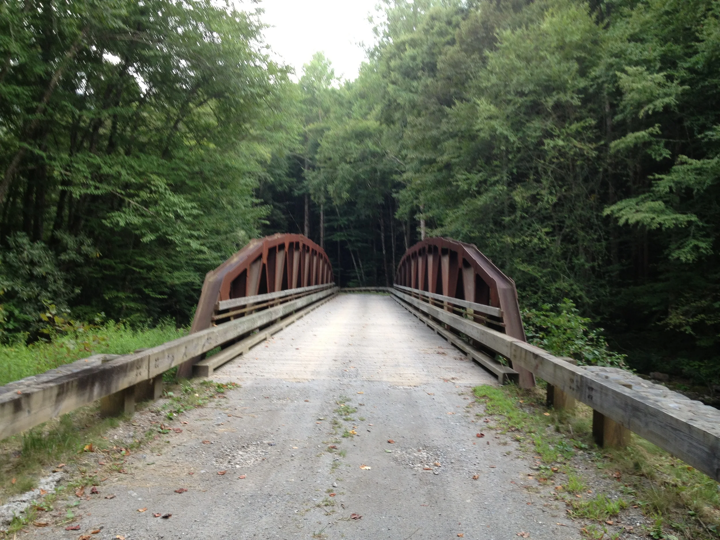 Bridge in the woods