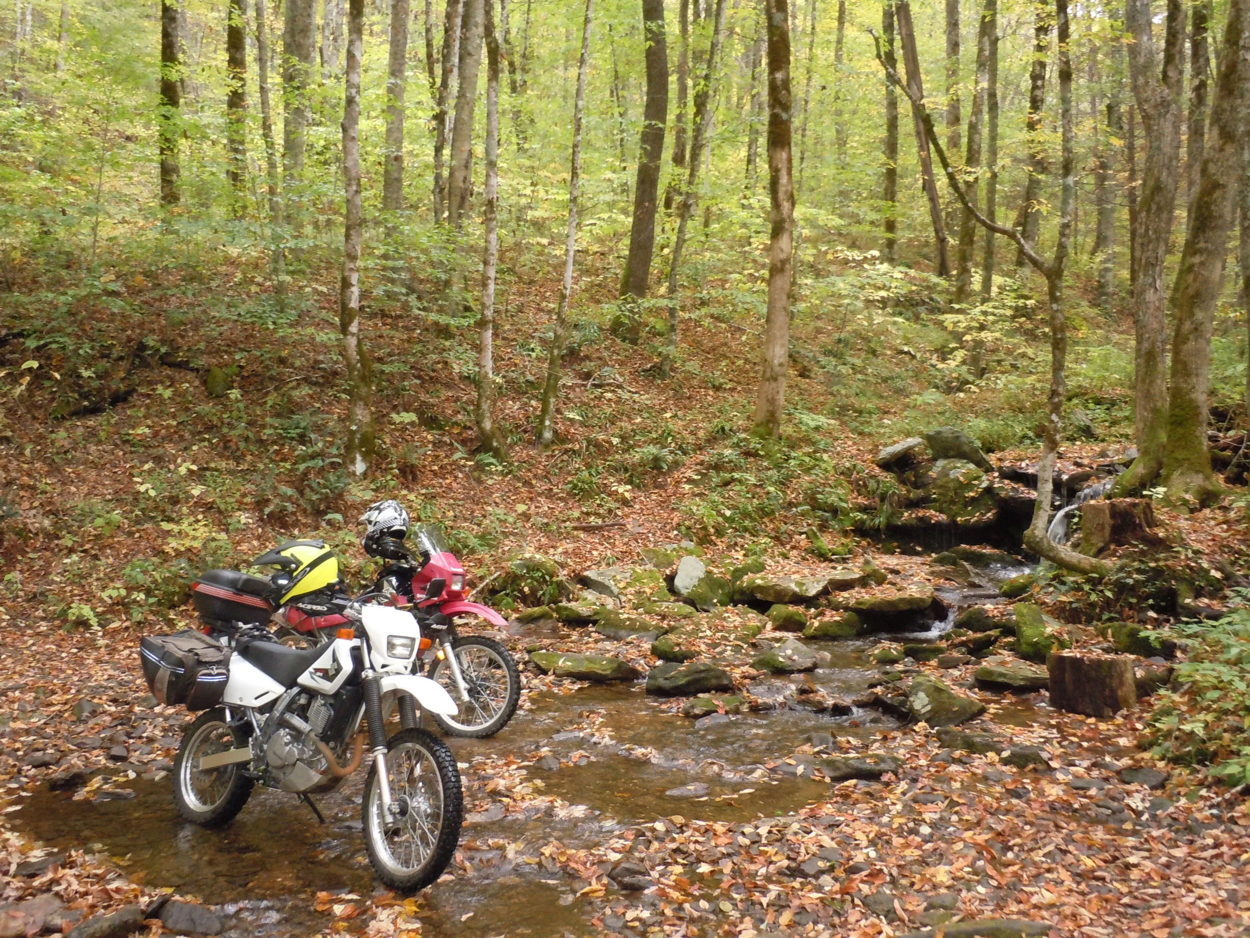 DSCN0613.JPG
