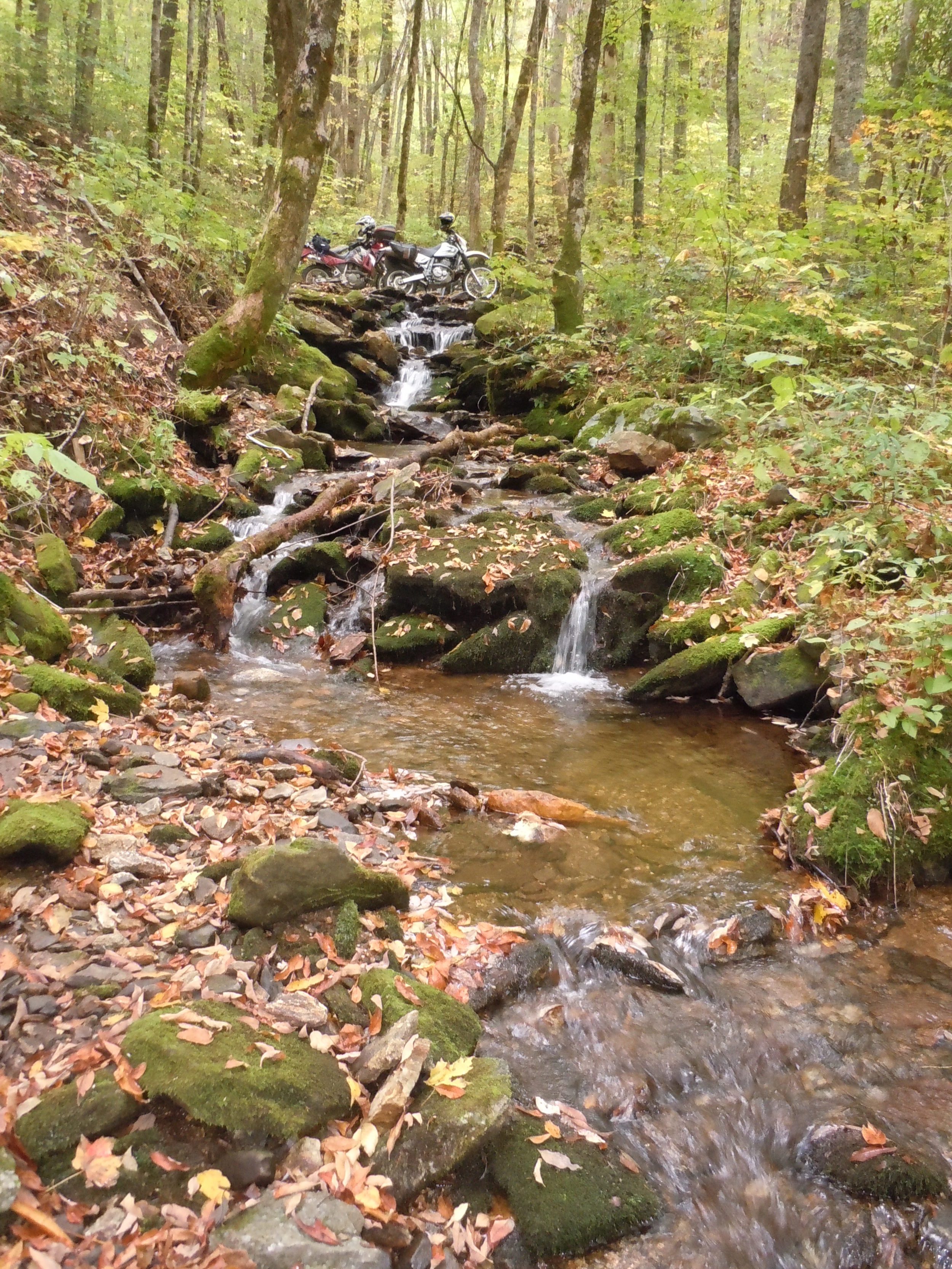 DSCN0606.JPG