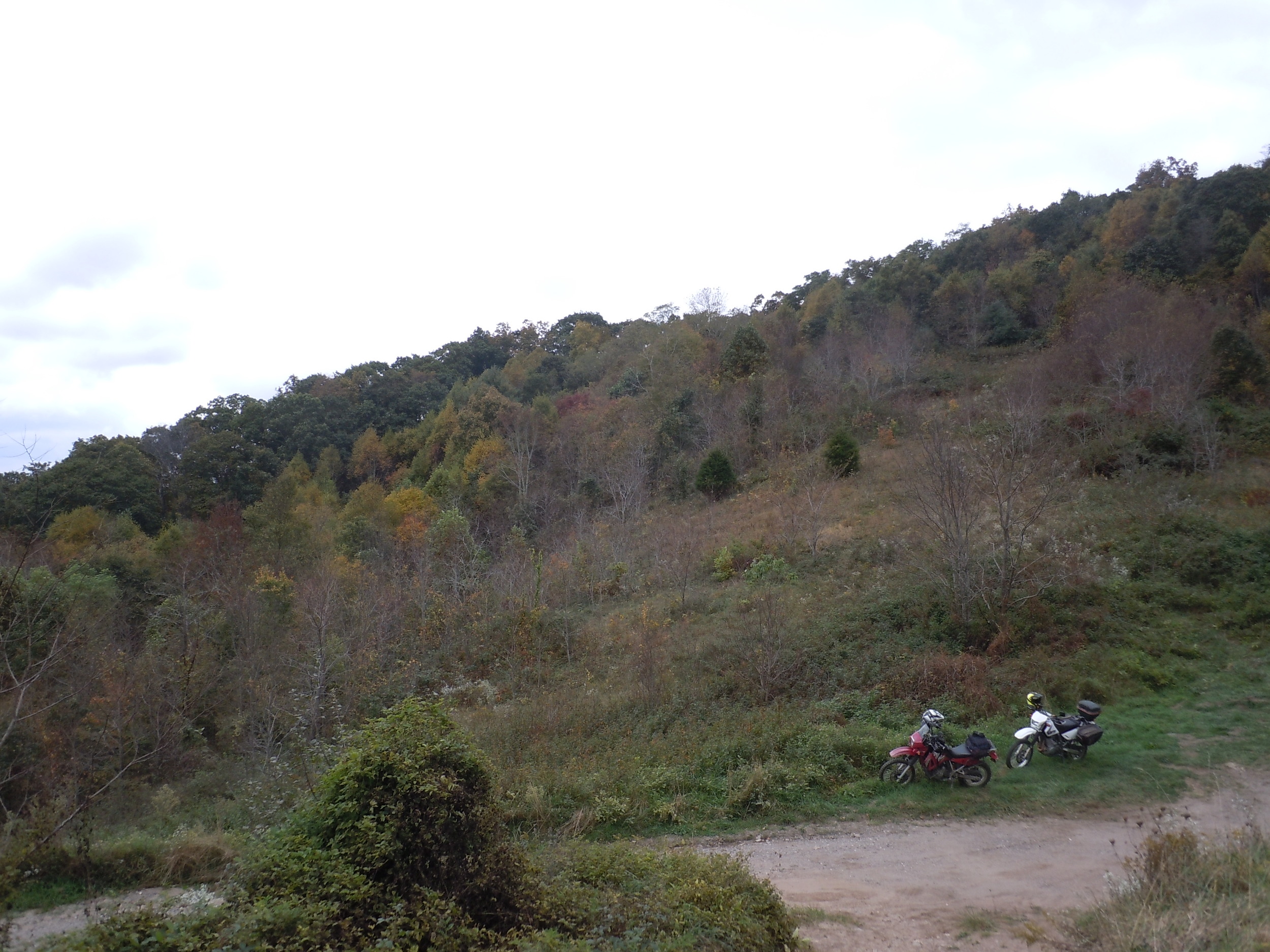 Dual Sport in NC