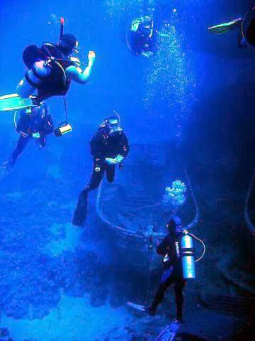 Scuba.jpg