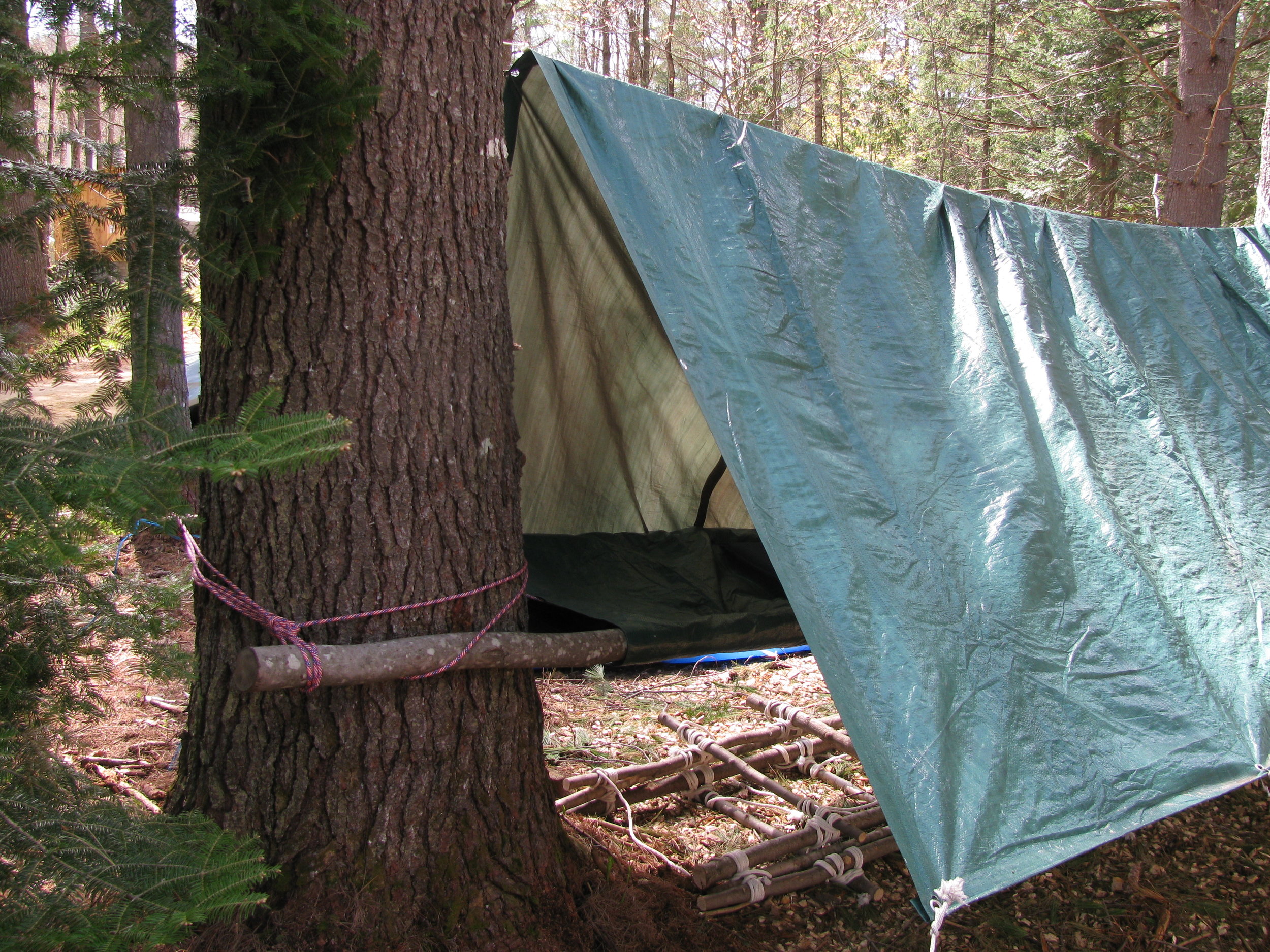 Top 6 Ideas to Creating Survival Shelters in the Wild — Horizon ADV