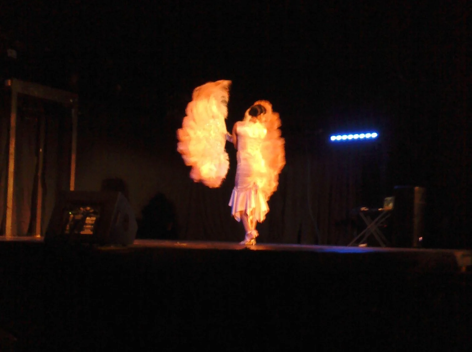 1110022206c_cropped.jpg