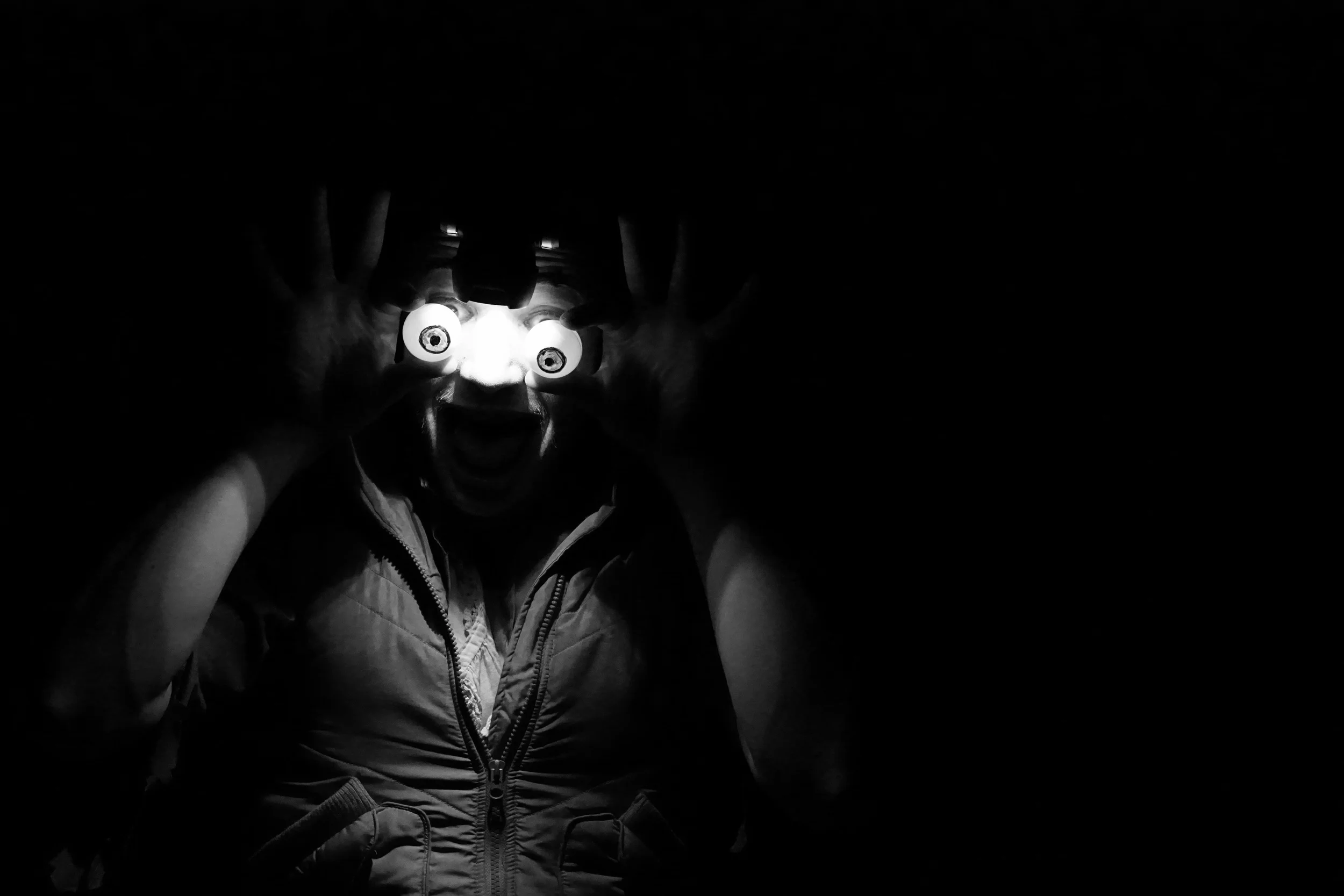 promotional2bw.JPG